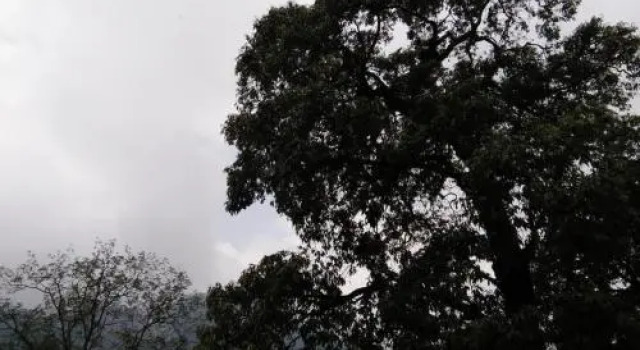 Janardan Homestay Nainital, Rezervovat Hotel Nainital Uttarakhand