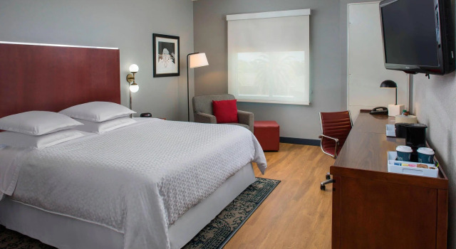 Двухместный номер Standard Four Points by Sheraton Houston Hobby Airport