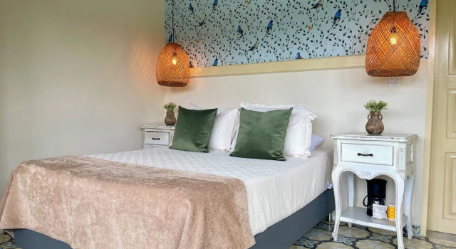 Двухместный номер Premium Hotel Lago Valdivia