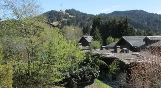 Studio Les Gets, 1 pièce, 4 personnes - FR-1-623-227