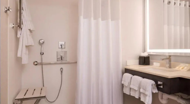 Номер Accessible Hilton Garden Inn NYC Financial Center/Manhattan Downtown