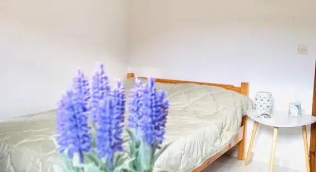 Двухместный номер Economy Skopelos Inn