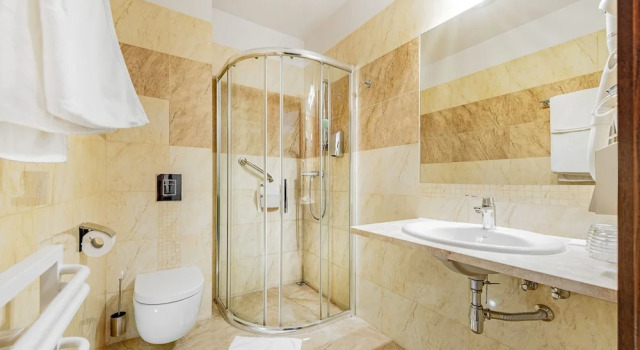 Номер Standard Hotel Młyn w Elblągu