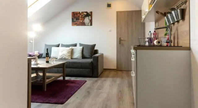 Апартаменты Мансарда Apartmány NISA