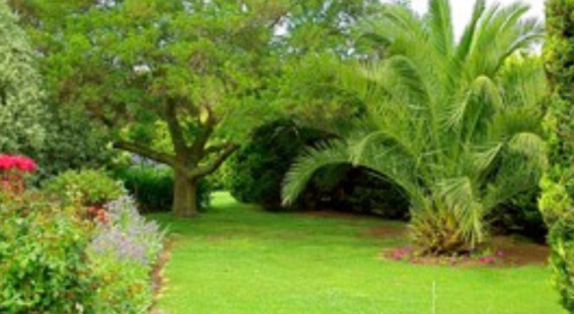 Standard room Codrington Gardens Bed & Breakfast