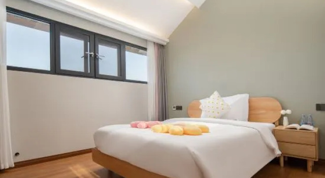 Люкс Anans home · Changxing Chashan Forest Holiday B & B