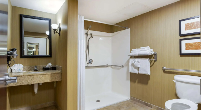 Двухместный люкс Comfort Suites Kodak Sevierville