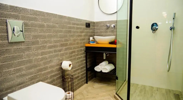 Номер Economy Borjomi Bridge Hotel