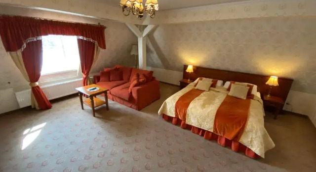 Двухместный номер Standard Hotel Pałac Borynia