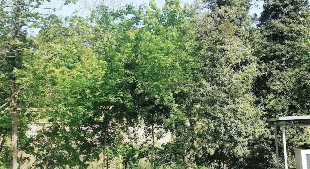 Номер Comfort AKZENT Hotel Villa Saxer