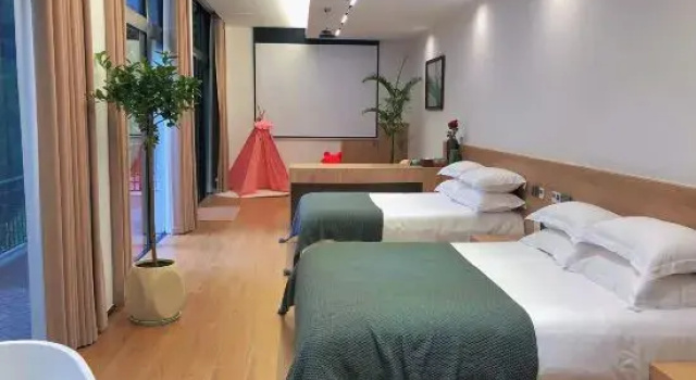 Люкс Luxury Zuoyun B&B