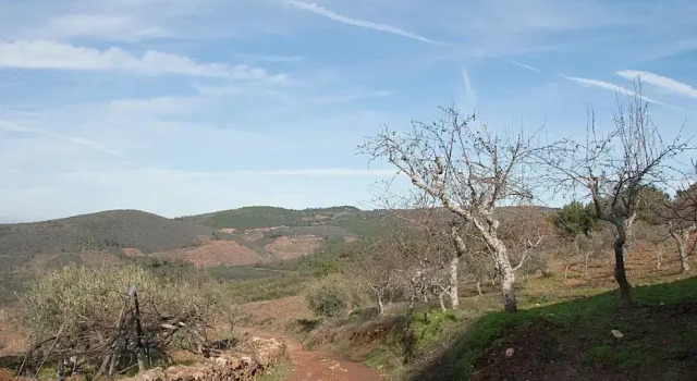 Quinta dos Baldo, Rezervovat Hotel  