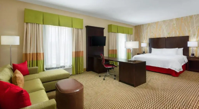 Люкс Hampton Inn & Suites Williamsport - Faxon Exit