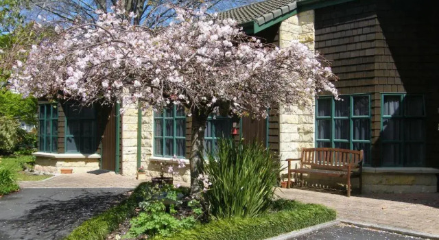 Апартаменты Cambridge Mews Motel