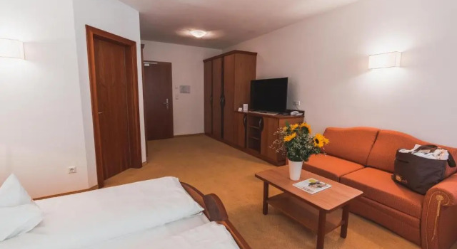 Номер Comfort Hotel Am Sonneck