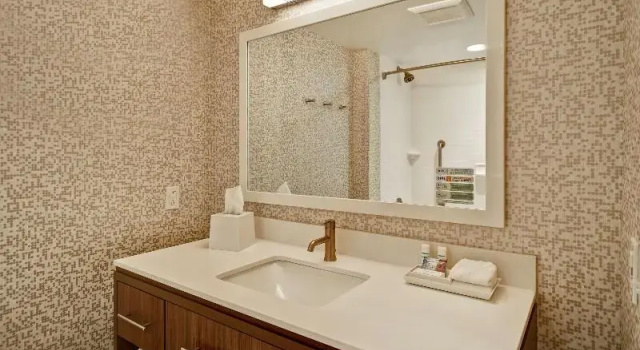 Двухместная студия люкс Home2 Suites By Hilton Terre Haute