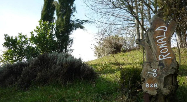 Da Ronald ... A Pian Del Papa, Réserver Chambre d'hôtes Poppi Toscane