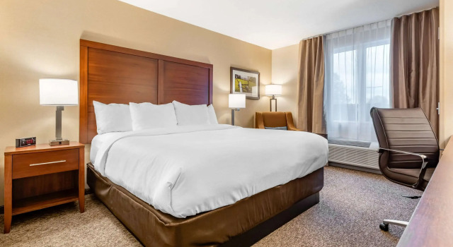 Двухместный номер Standard Comfort Inn & Suites
