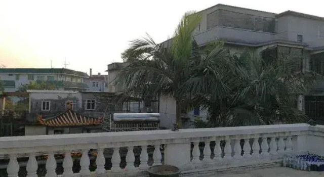 Люкс Taohuaxi
