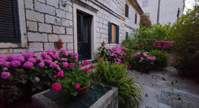 Апартаменты c 1 комнатой Apartments Sensa Dubrovnik