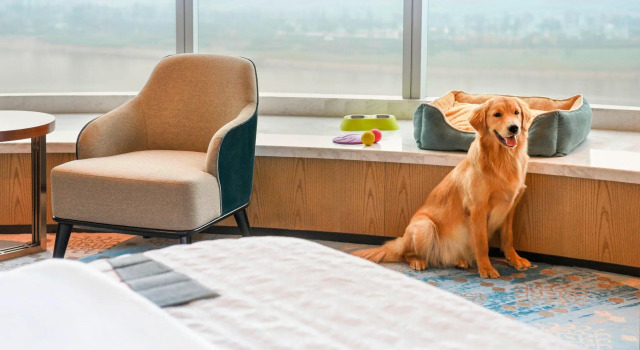 Двухместный номер Standard с видом на реку Le Meridien Xian Chanba