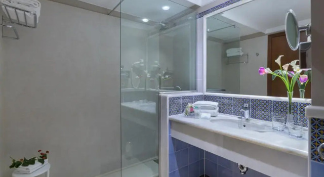 Двухместный номер Economy Hipotels Natura Palace Adults Only