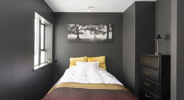 Central Luxury Apartment