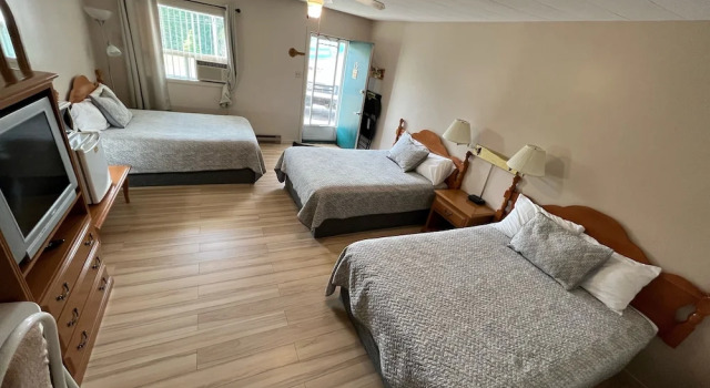 Номер Economy La Roma Motel