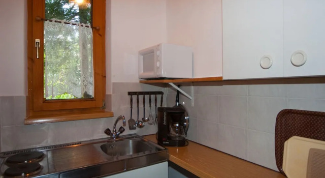 Апартаменты c 1 комнатой с видом на сад Aparthotel Buchauer-Tirol