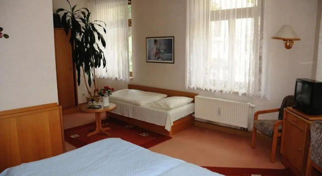 Двухместный номер Standard Pension Hotel Turmblick