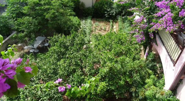 Апартаменты Apartments Roza