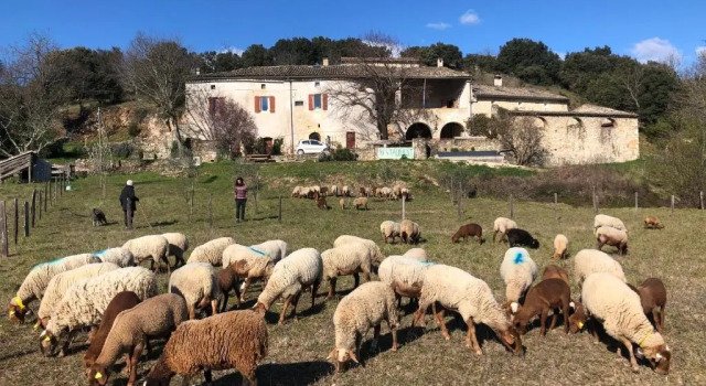 Коттедж Gîtes La ferme accrochée à la colline
