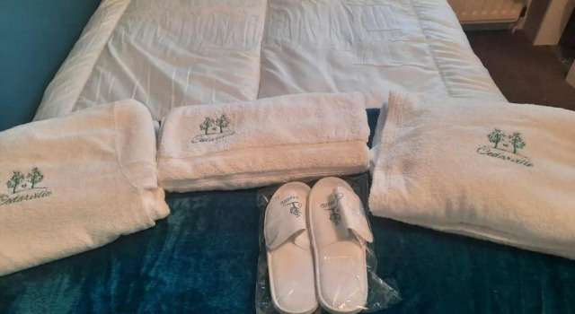 Номер Deluxe Cedarville Guesthouse