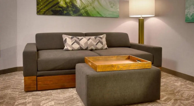 Люкс SpringHill Suites by Marriott Idaho Falls