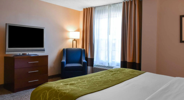 Люкс Comfort Suites Downtown Carlisle