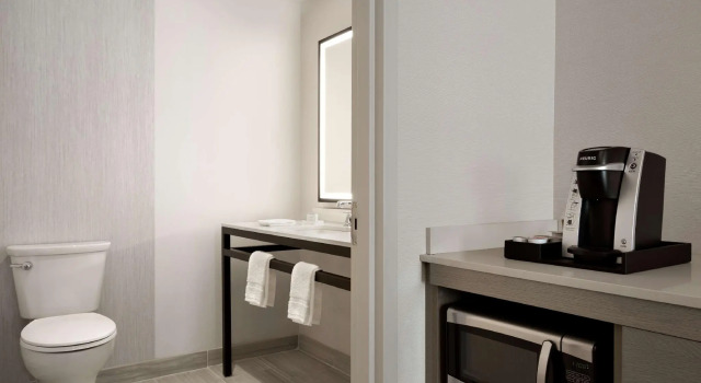 Четырёхместный номер Standard Hilton Garden Inn Newtown Square Radnor