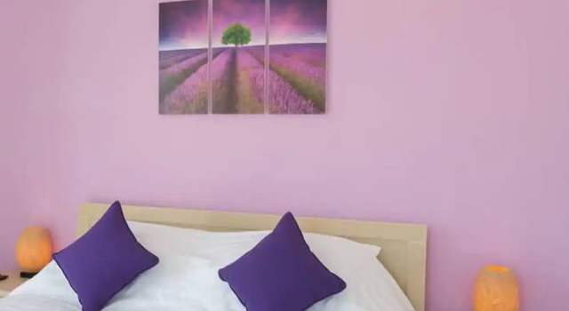 Двухместный номер Deluxe с балконом Rice Field Homestay