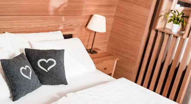 Полулюкс Hotel Continental Dolomites