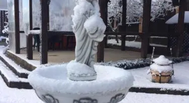 Chernomorskaya Zhemchuzhina, Забронировать Отель Бетта 