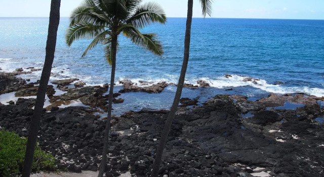 Kona Nalu Oceanfront Condo & More!