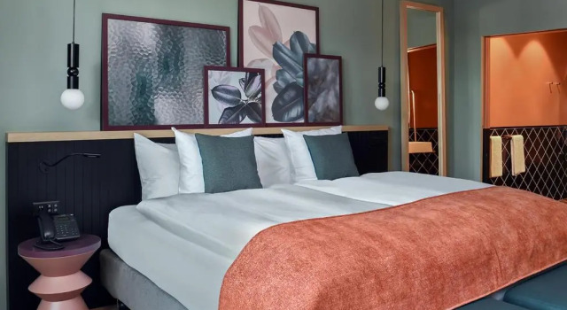 Двухместный номер Deluxe Sorell Boutique-Hotel St Peter Zürich