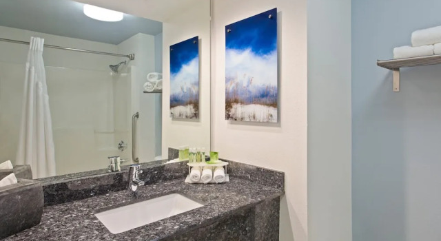 Люкс c 1 комнатой Holiday Inn Express Hotel & Suites Clearwater North-Dunedin by IHG