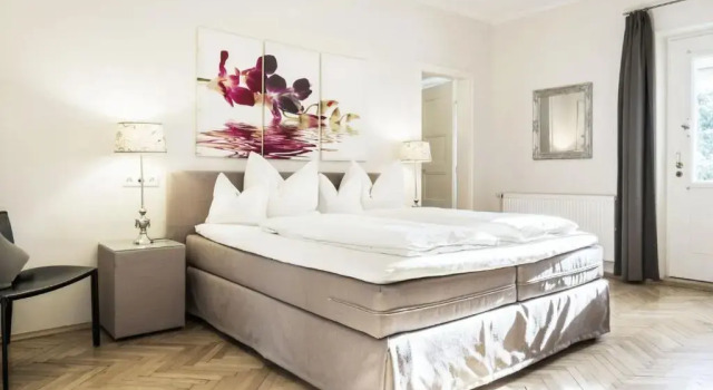 Номер Deluxe Boutique Hotel Friesinger