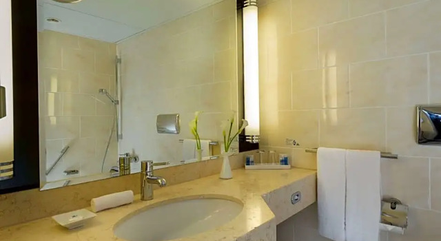 Habitación Estándar con balcón Maritim Hotel Am Schlossgarten