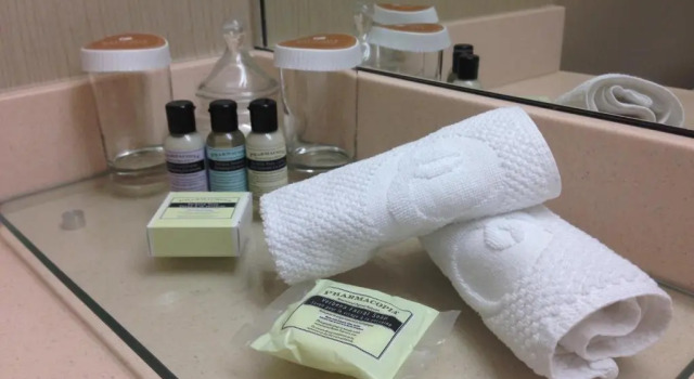 Двухместный номер Deluxe Plaza Building Executive Hotel Vancouver Airport