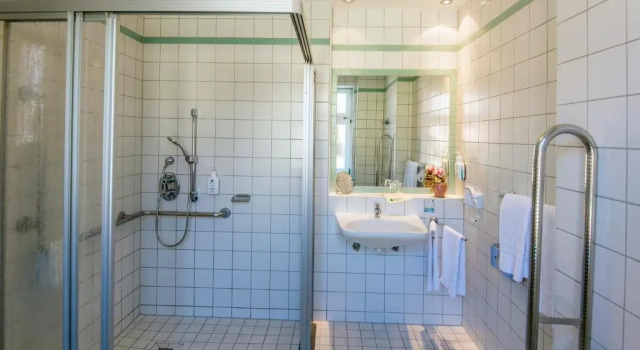Двухместный номер Standard Hotel Herzog Georg