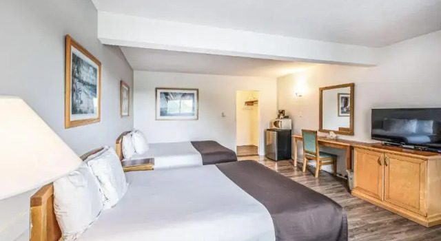 Номер Standard Bluebird Motel