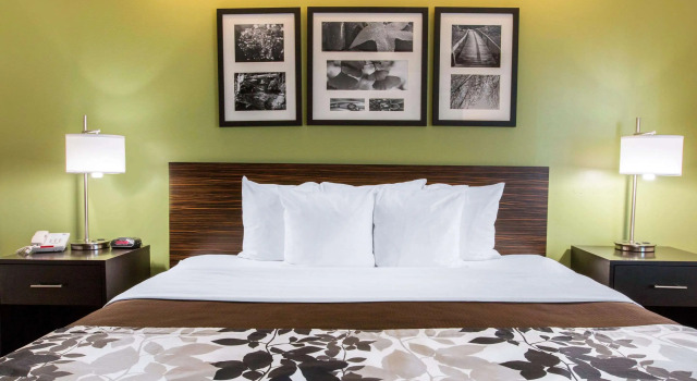 Двухместный номер Standard Sleep Inn & Suites Oregon - Toledo