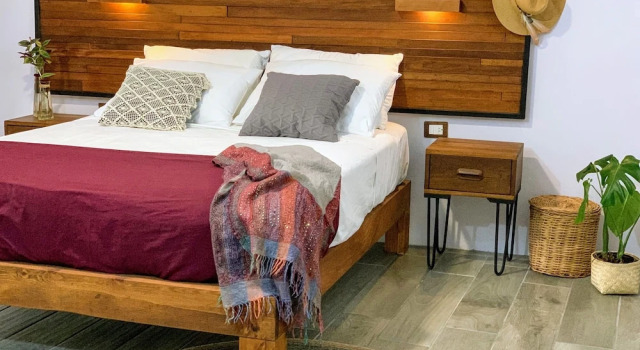 Номер Standard Hotel Boutique TerraNova