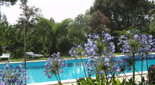Shared Farmhouse Near Serra Monfuradoca